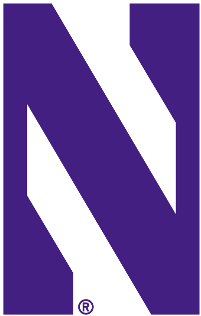 Northwestern Wildcats 1981-Pres Alternate Logo v4 iron on transfers for clothing